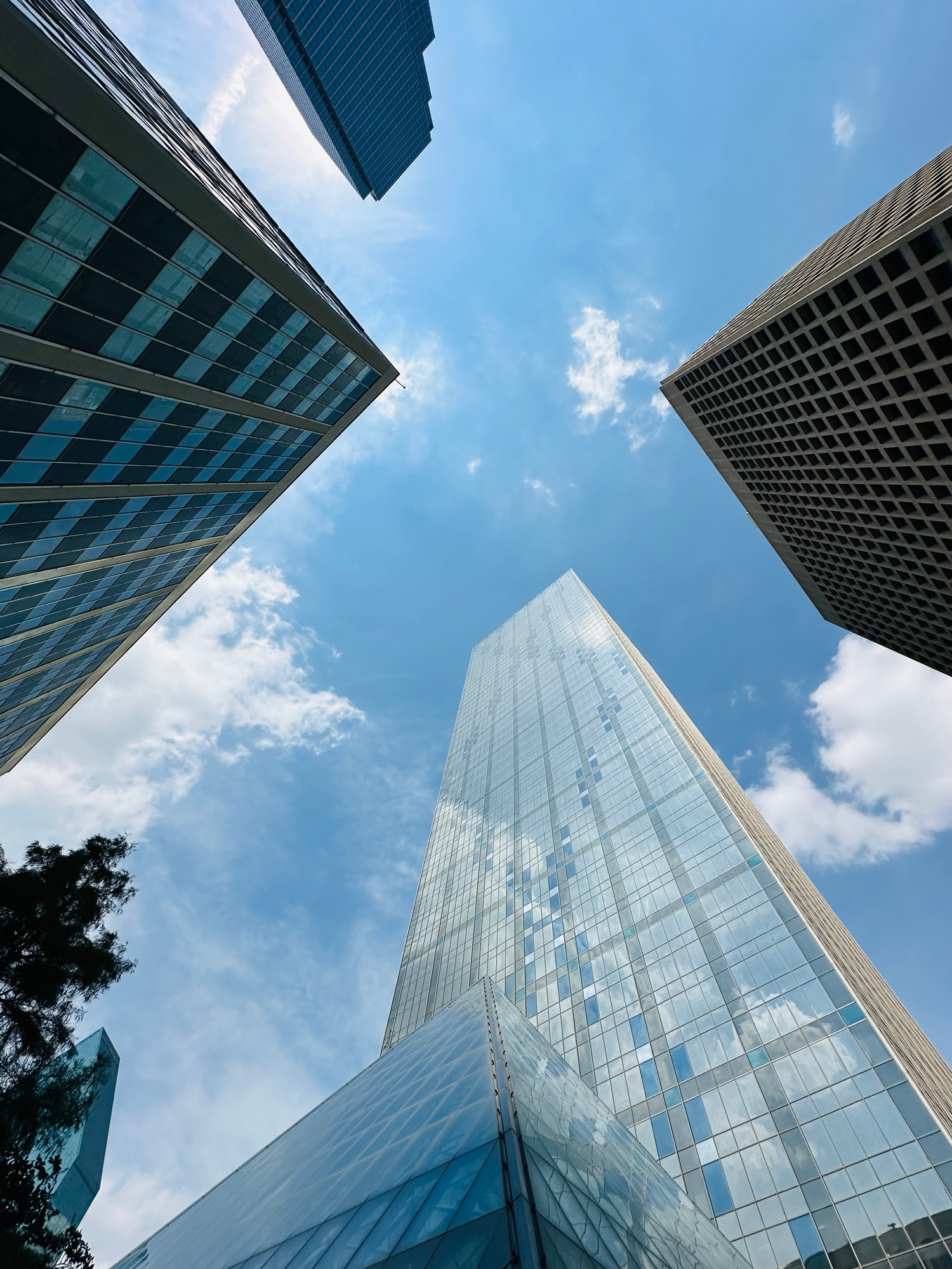 giada-aschelter-dupe